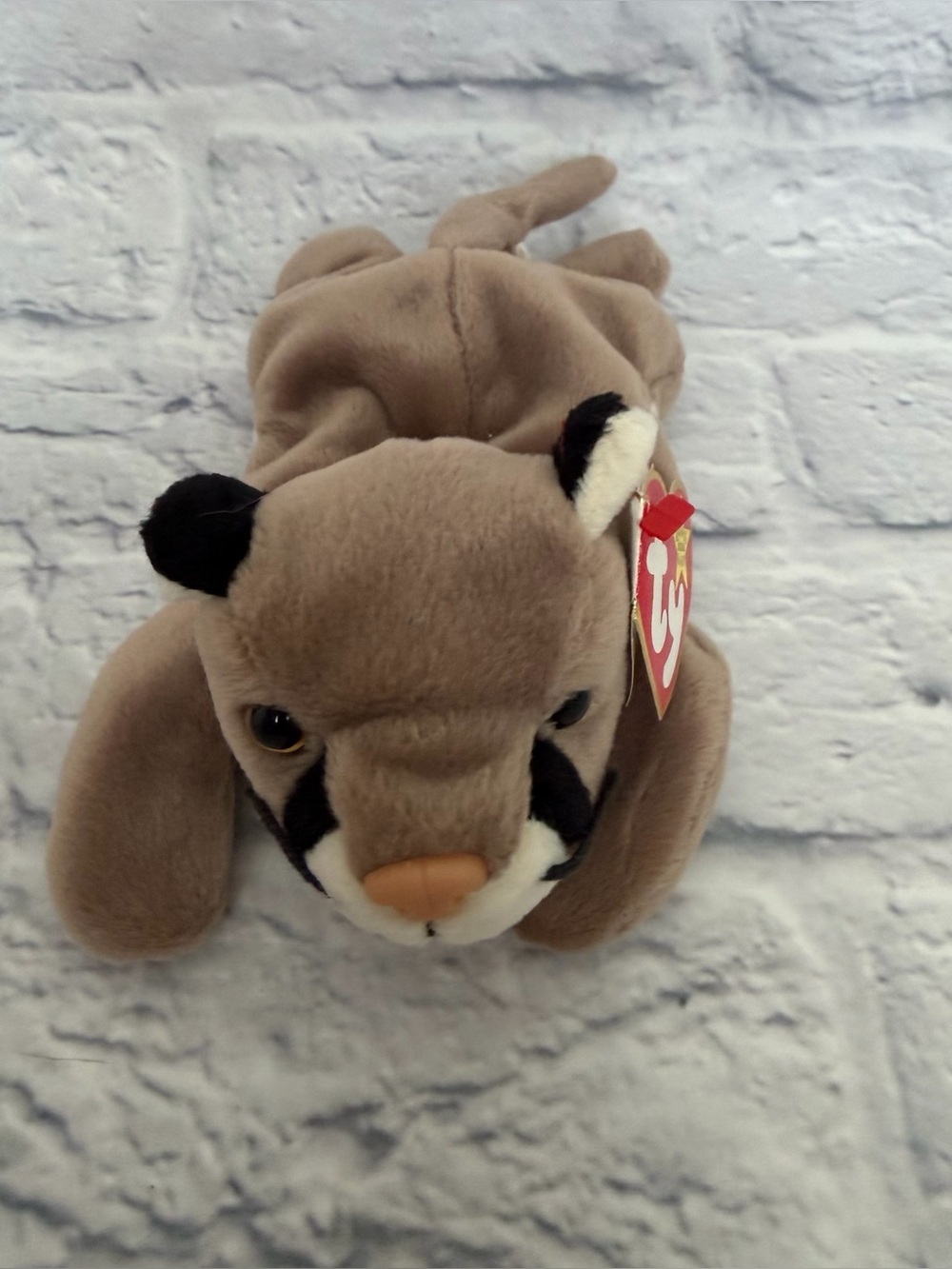 TY Beanie Baby - Canyon